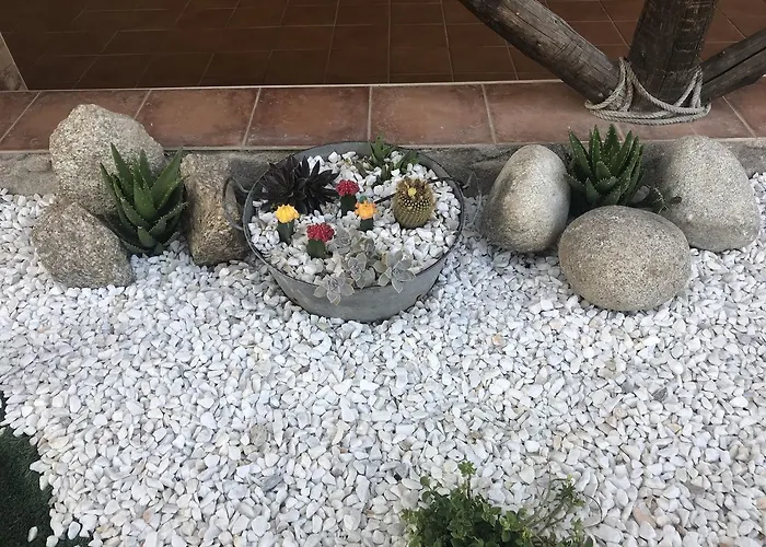 La Guarida Del Oso